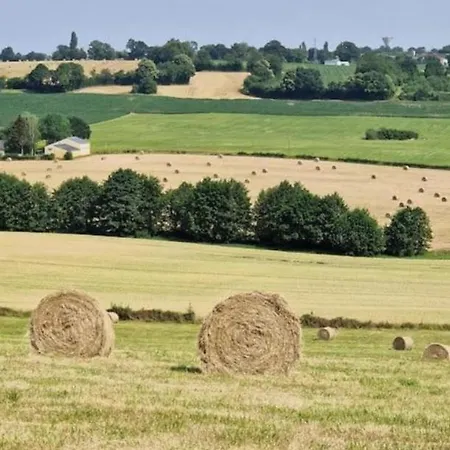 Petit A La Campagne Brains-sur-Gee